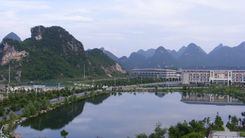 电子模块批发：揭秘其在现代电子设备中的应用与选型**